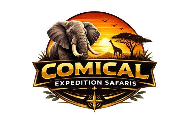 Comical Expedition — Lead Safari Guide