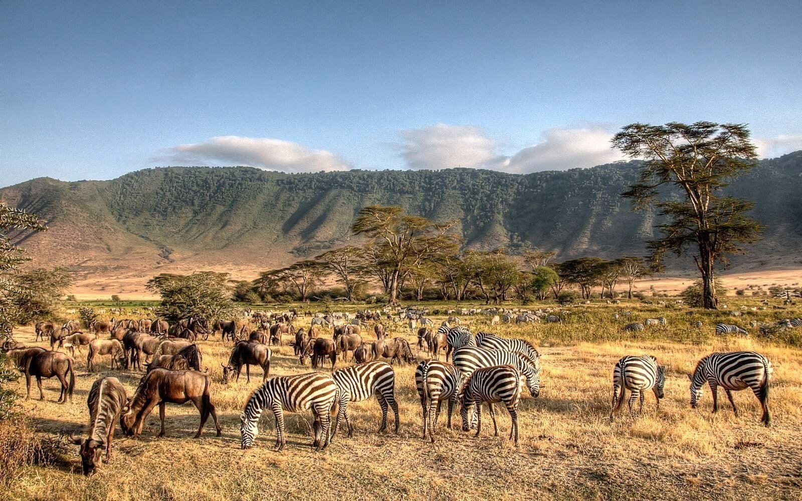 Wildlife photography on a Comical Expedition safari Kenya