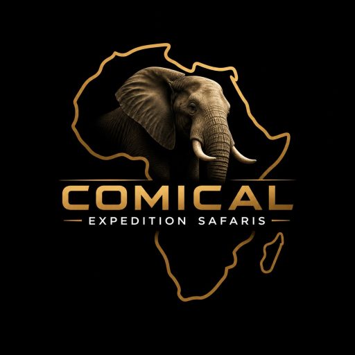 Comical Expedition Safaris Logo