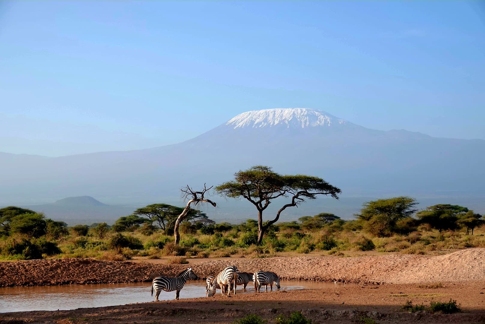 06 Days Tanzania Safari