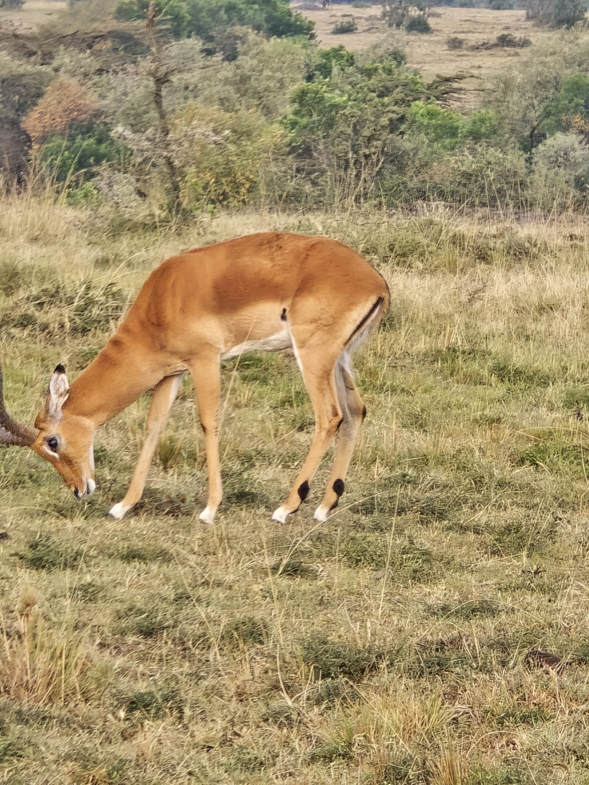 06 Days Tanzania Safari
