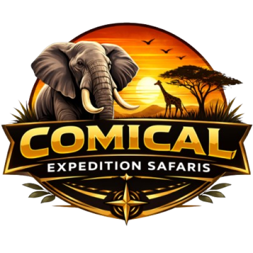 Comical_Expedition_Safaris