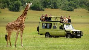 Tanzania luxury safari