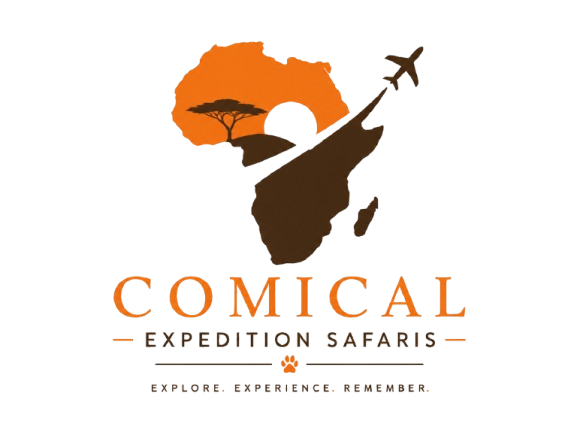 Comical Expedition Safaris